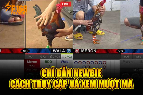 Chỉ dẫn newbie cách truy cập và xem mượt mà Chỉ dẫn newbie cách truy cập và xem mượt mà