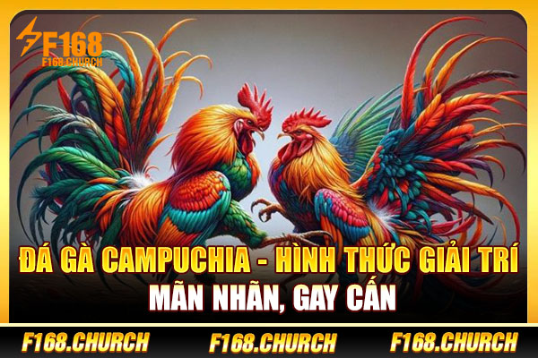 Đá Gà Campuchia - Hình Thức Giải Trí Mãn Nhãn, Gay Cấn