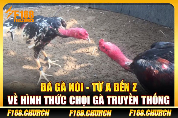 Đá Gà Nòi - Từ A Đến Z Về Hình Thức Chọi Gà Truyền Thống