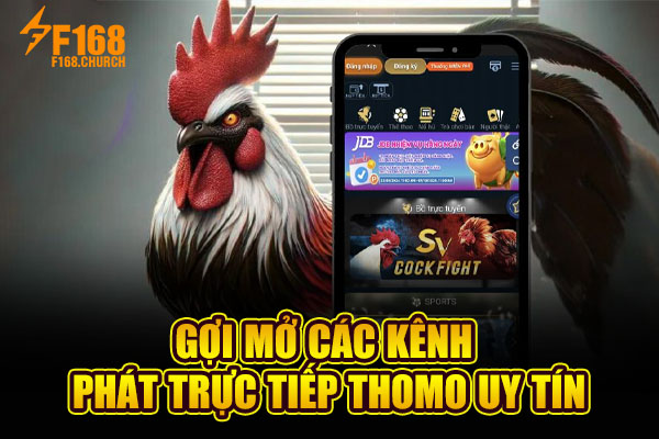 Gợi mở các kênh phát trực tiếp Thomo uy tín Gợi mở các kênh phát trực tiếp Thomo uy tín