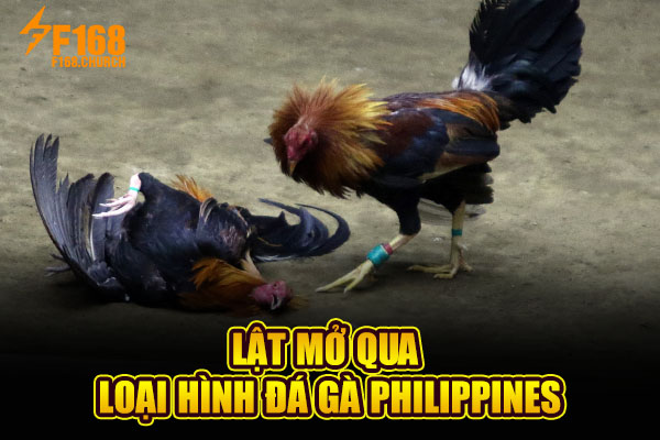 Lật mở qua loại hình đá gà Philippines