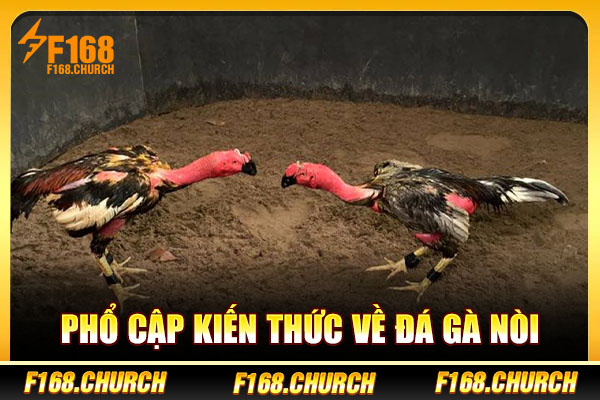 Phổ cập kiến thức về đá gà nòi