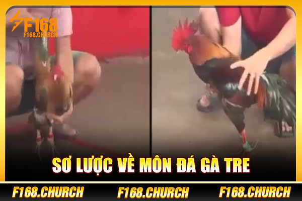 Sơ lược về môn đá gà tre Sơ lược về môn đá gà tre