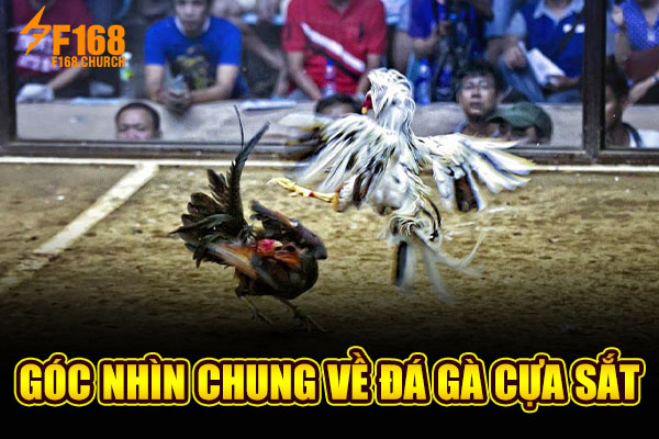 Góc nhìn chung về đá gà cựa sắt Góc nhìn chung về đá gà cựa sắt